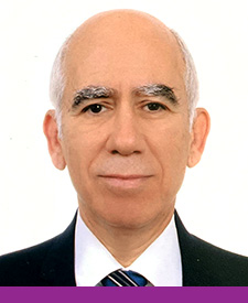 Suha Sureyya Ozbek